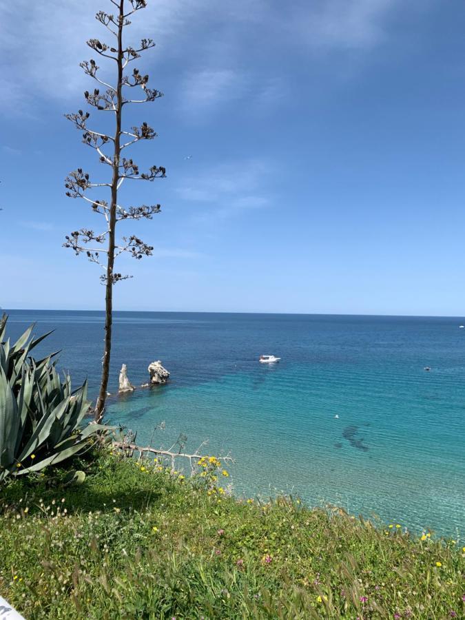 Fiori D'Arancio Διαμέρισμα Terrasini Εξωτερικό φωτογραφία