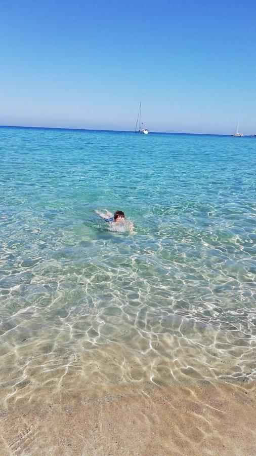 Fiori D'Arancio Διαμέρισμα Terrasini Εξωτερικό φωτογραφία